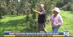 Diaspora Indonesia Sukses Bertani Buah di Amerika