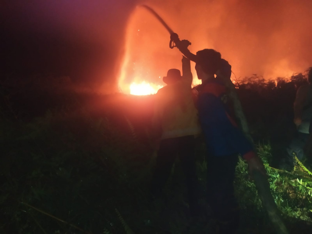 Tujuh hektare lahan terbakar di Desa Krueng Simpoe, Kecamatan Juli, Kabupaten Bireuen, Aceh. Foto: Dokumentasi BPBA