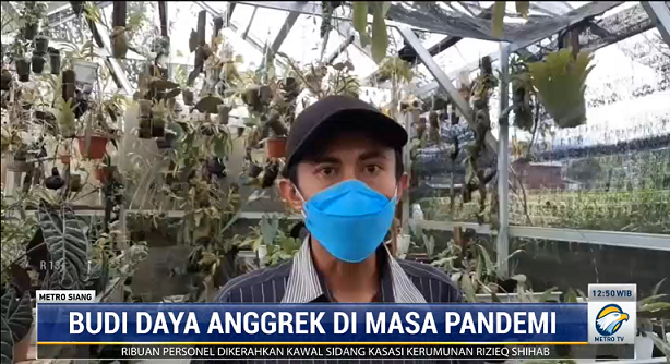Budi Daya Anggrek Buat Pemuda Mamasa Untung Ratusan Juta Rupiah