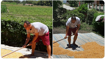 Dipecat Gara-gara TWK, Mantan Pegawai KPK ini Memilih Jadi Petani