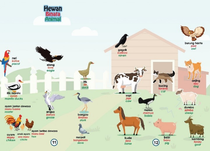 Balai Bahasa Sulteng Susun Kamus Bergambar Bahasa Kaili untuk Siswa SD