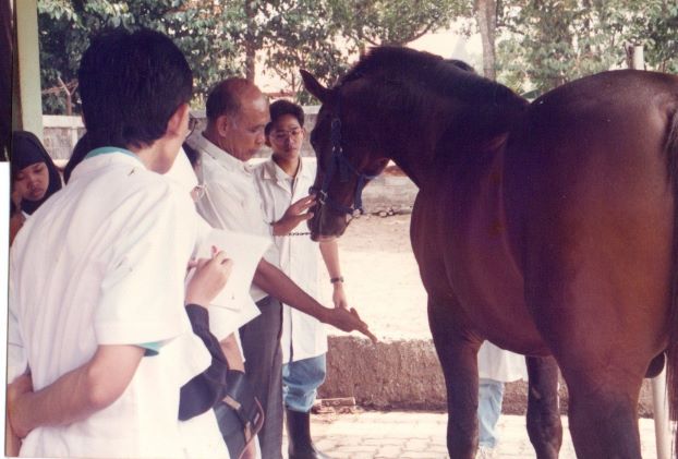 IPB Anugerahkan <i>Life Achievement Award</i> kepada Pakar Kuda Wirasmono Soekotjo