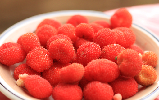 Jarang Diketahui! Ini Fakta Buah Kerben, Beri Asli Indonesia