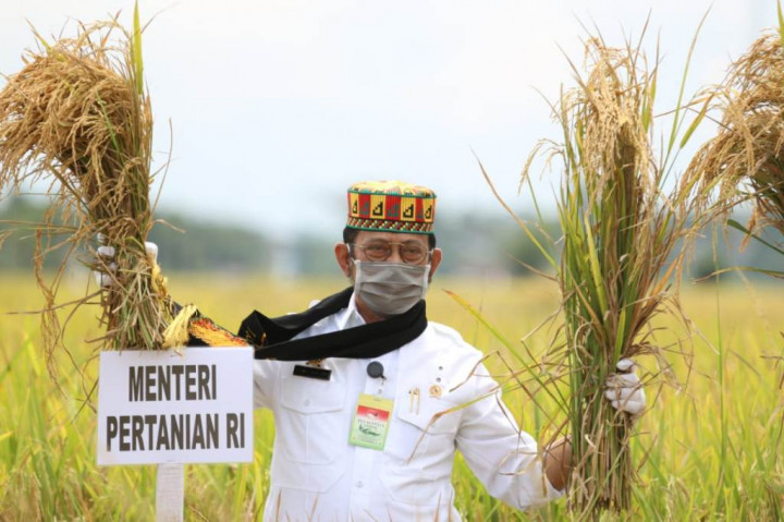 Mentan Proyeksikan Temanggung Jadi <i>Food Estate</i> di Pulau Jawa