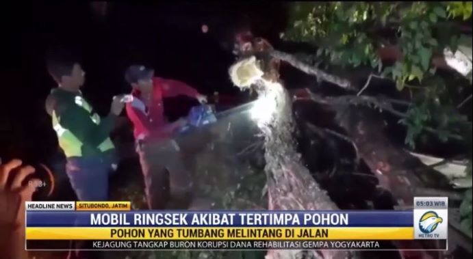 Mobil ringsek tertimpa pohon besar di Situbondo, Jawa Timur. Metro TV