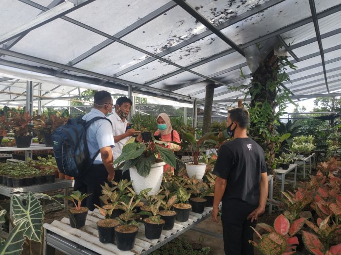 Wah! Tanaman Hias Bisa Jadi Opsi Pemulihan Ekonomi Rakyat