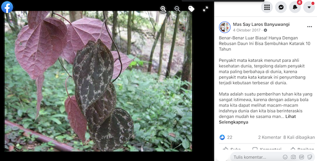 Tangkapan layar unggahan hoaks di media sosial