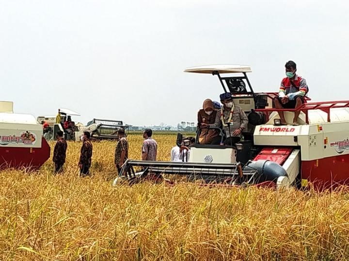 Rayakan Hari Pangan Sedunia, Menteri Pertanian Berterima Kasih ke Petani
