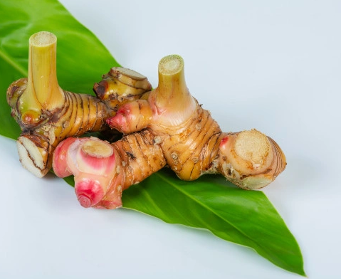 Lengkuas sering digunakan dalam pengobatan Ayurvedic dan tradisional Cina selama berabad-abad. (Foto: Ilustrasi. Dok. Freepik.com)