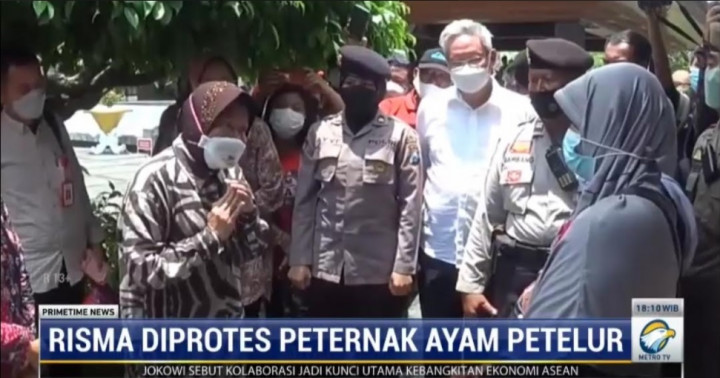 Harga Anjlok, Peternak di Blitar Minta Risma Serap Telur untuk Bansos
