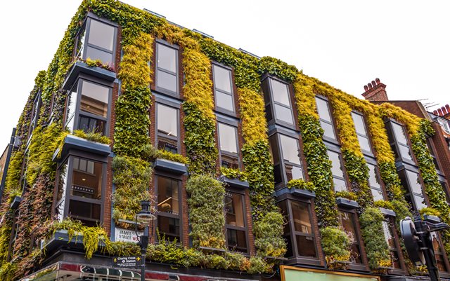 Vertical Garden: Permadani Hijau Penyamar Tampilan Ruangan