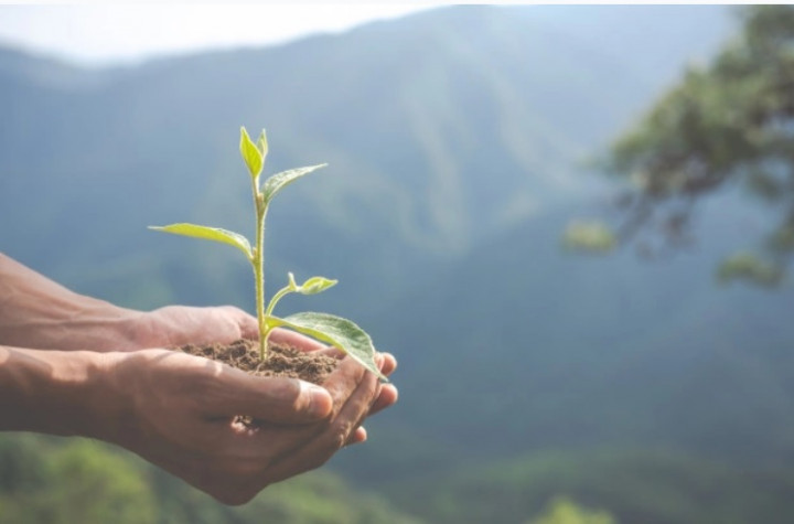 5 Upaya Melestarikan Lingkungan, Perusahaan Cat Ini Raih Global CSR Award