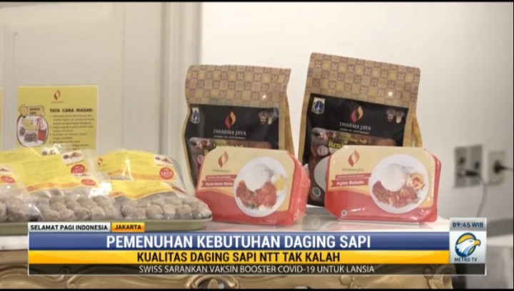 Gubernur Anies Pilih Sapi NTT Ketimbang Daging Impor, Ini Alasannya