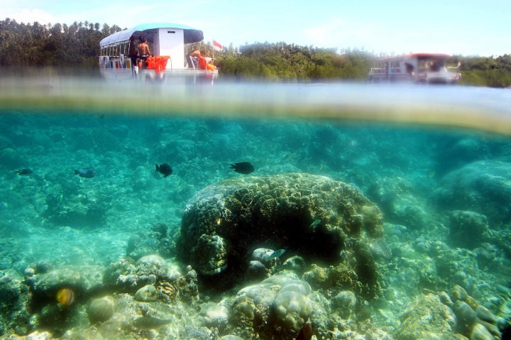 Ciptakan Sumber Ekonomi Baru, Indonesia-Swedia Sepakat Kembangkan Ekonomi Biru
