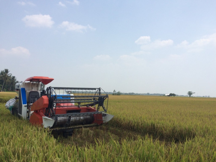 Begini Strategi Kementan Hadapi La Nina
