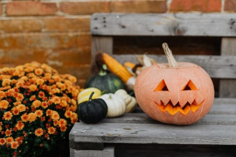 Diperingati Tiap 31 Oktober, Ini Sejarah Halloween