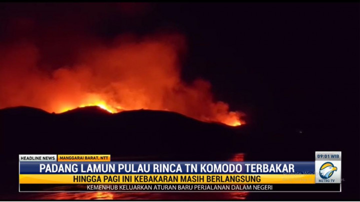 Ratusan Hektare Padang Lamun di Taman Nasional Komodo Terbakar