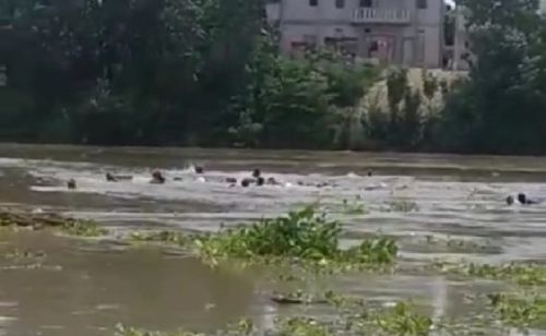 Berita Populer Daerah: Perahu Penyeberangan Terbalik di Bengawan Solo Hingga Bocah 6 Tahun di Riau Tewas Diterkam Harimau