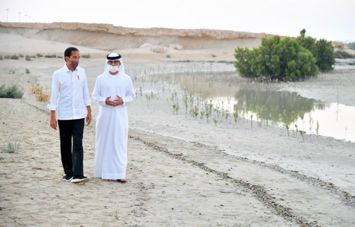 President Jokowi Plants Mangrove Trees in Abu Dhabi