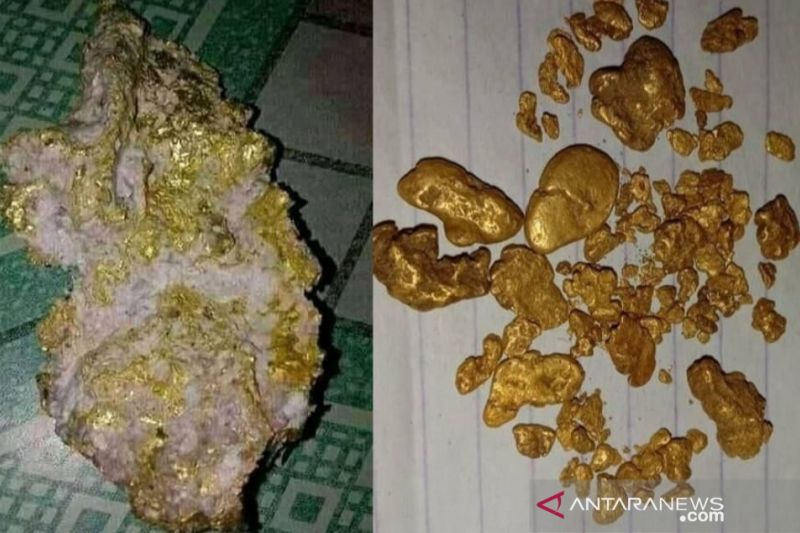 Bongkahan emas yang ditemukan warga Desa Ujan Mas, Kecamatan Sungai Are, Kabupaten Ogan Komering Ulu (OKU) Selatan, Sumatera Selatan, di aliran Sungai Are. (ANTARA/HO.)