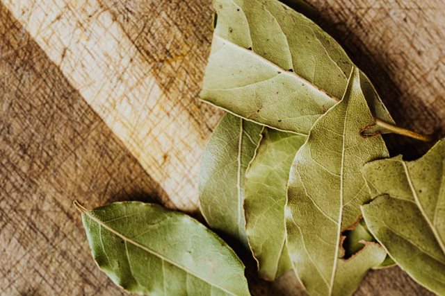 5 Manfaat Daun Salam Selain Sebagai Bumbu Dapur