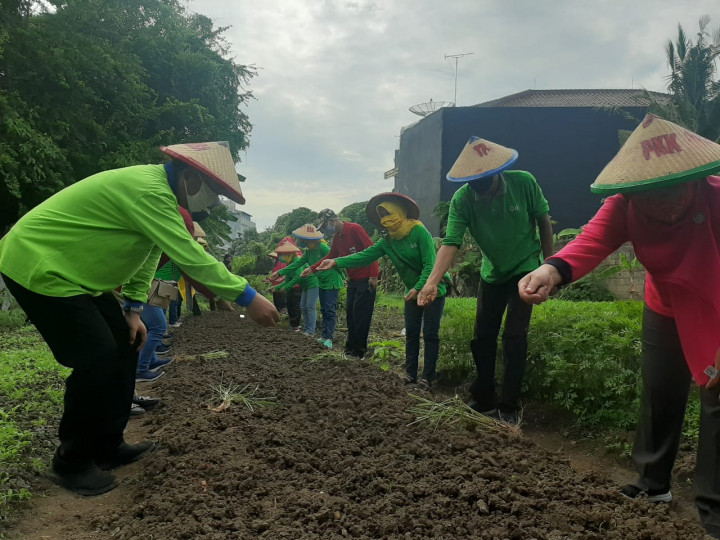 COP26 Bahas Potensi Unik Pertanian Atasi Perubahan Iklim