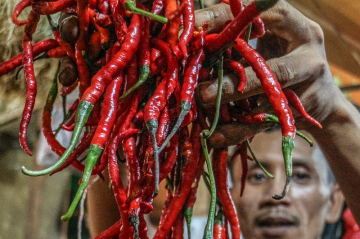 Cuaca Ekstrem, Harga Cabai di Bengkulu Naik hingga Rp60 Ribu per Kg
