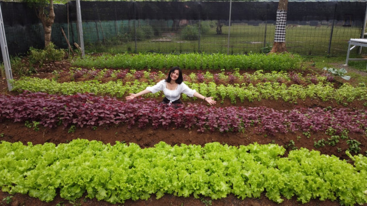 Ada Surga Buku dan Penghasil Sayuran Organik di Depok