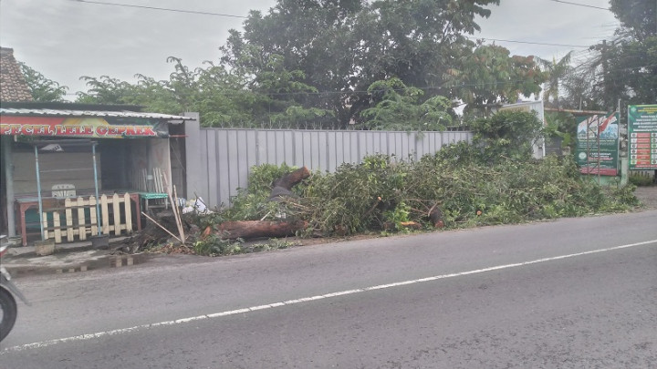 Longsor Hingga Pohon Tumbang Terjadi di DIY, Sebabkan Korban Luka