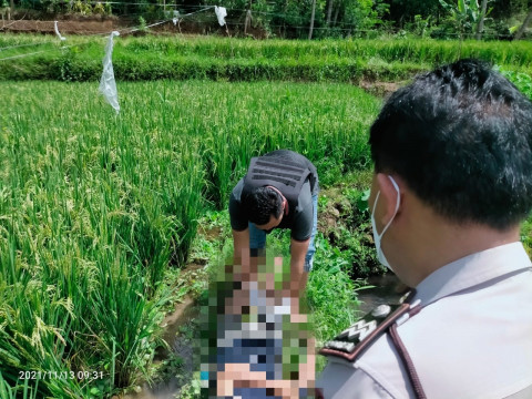 Jasad Seorang Pria Ditemukan di Tengah Sawah Singosari Malang