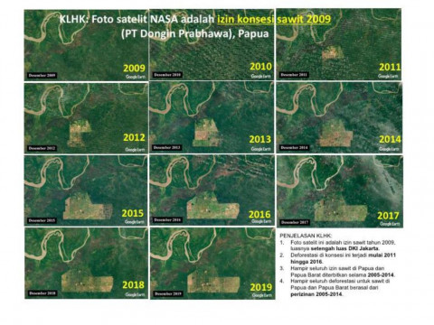 KLHK: Salah Jika Tudingan Deforestasi di Papua Diarahkan ke Pemerintahan Jokowi