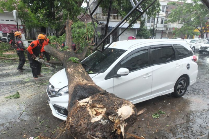 2 Tewas dan 7 Luka Berat Akibat Pohon Tumbang di Mojokerto