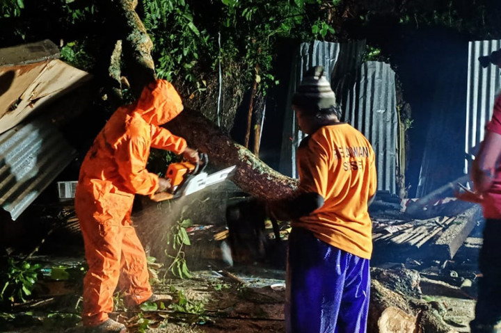 Pohon Tumbang Akibat Angin Kencang di Mojokerto, Tiga Orang Meninggal
