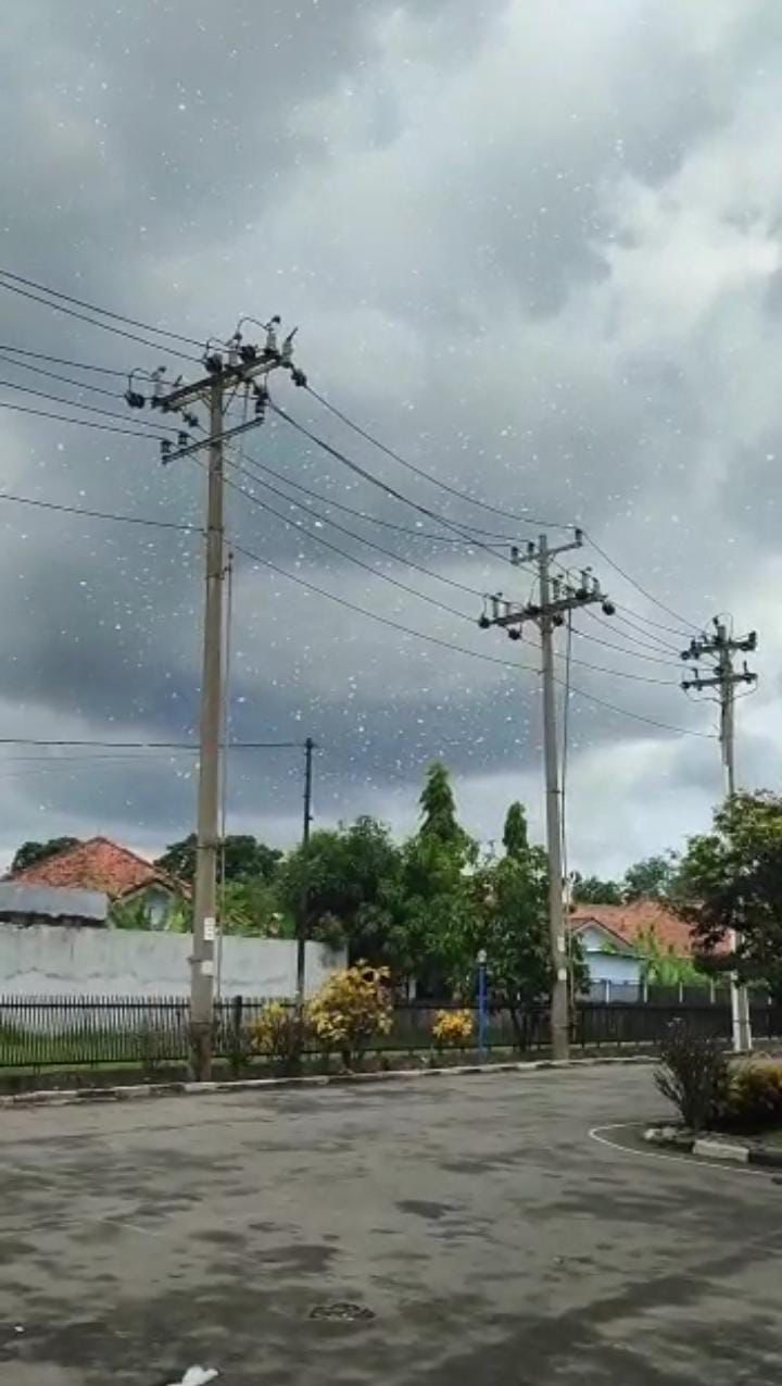 PLN Amankan Jaringan Listrik di Area Kilang Cilacap