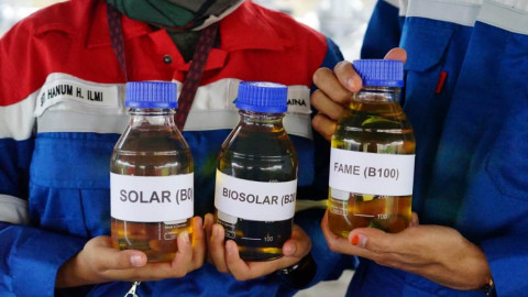 Mampukah Pertamina Jadi Bahan Bakar Indonesia Menuju Produsen Biofuel Terbesar Dunia?