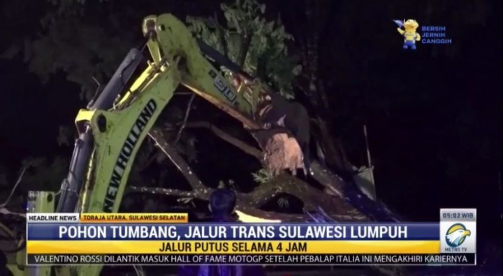 Pohon Tumbang Lumpuhkan Jalur Trans Sulawesi