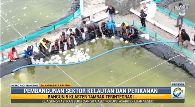 Gubernur Kalteng Percepat Pembangunan Kawasan Tambak Udang Vaname