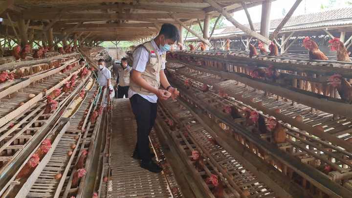 Harga Telur dan Minyak Goreng di Malang Dipantau