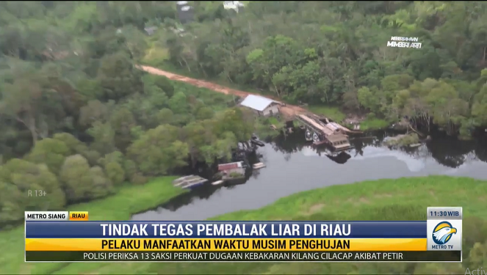 Pembalakan Liar di Hutan Margasatwa Riau, Habitat Harimau Sumatra Terancam