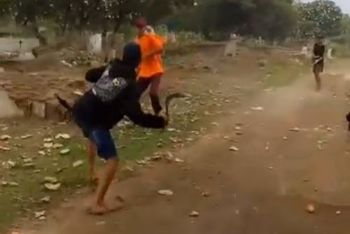 7 Remaja Pembuat Konten Video Tawuran di Purworejo Ditangkap