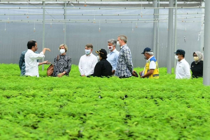 Tinjau Persemaian Rumpin, Presiden: Indonesia Serius Tangani Perubahan Iklim