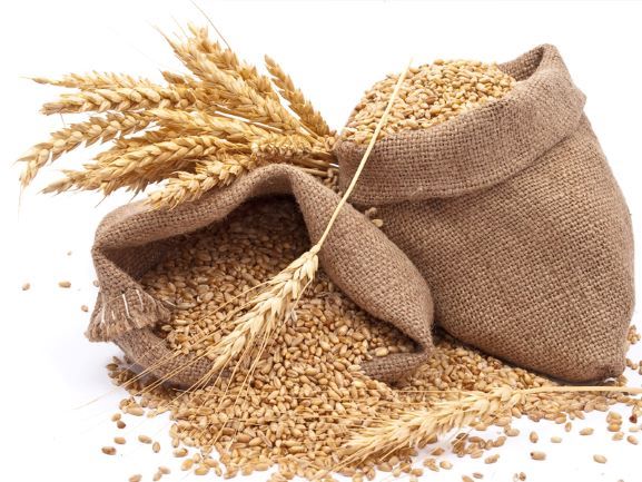 WFP, USAID Cooperate to Support Entrepreneurs in South Sudan