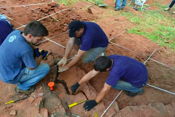 Fosil Spesies Dinosaurus Sangat Langka Ditemukan di Brasil