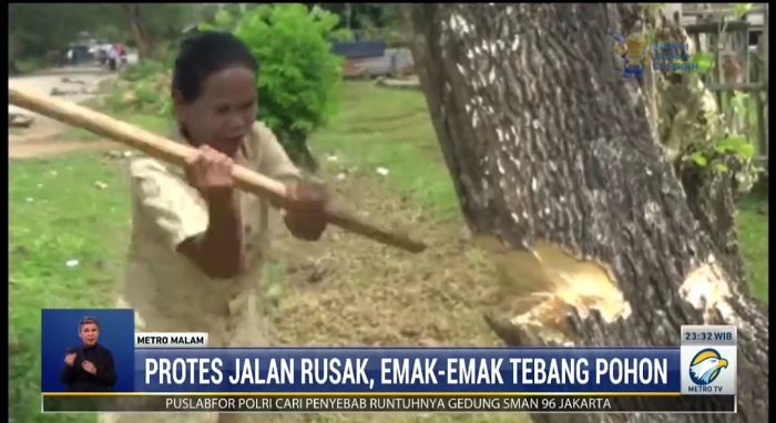 Protes Jalan Rusak, Emak-Emak di Muna Tebang Pohon