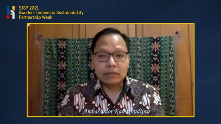 Energi Terbarukan dan Transfer Teknologi Jadi Fokus Kerja Sama RI-Swedia