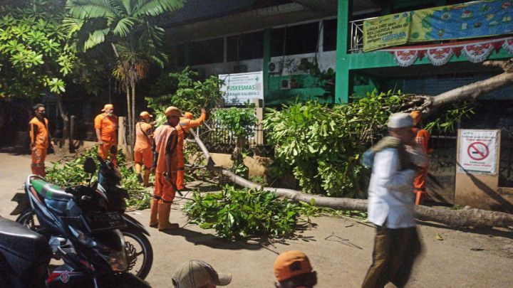 Angin Kencang Picu Pohon Tumbang di Kalibata, Aliran Listrik Puskesmas Terputus