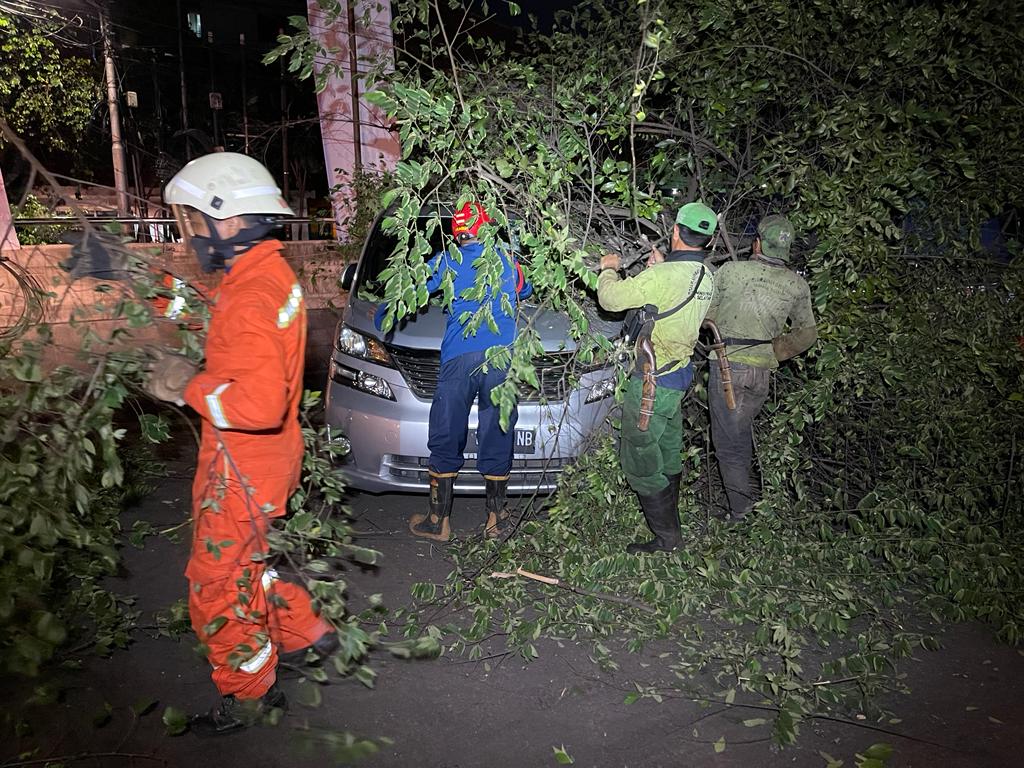 Pohon tumbang menimpa mobil di Pejaten Office Park. DOK Istimewa