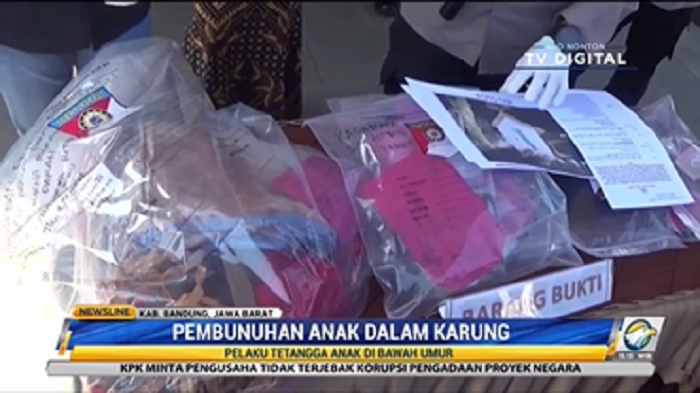 Pembunuhan Anak Dalam Karung