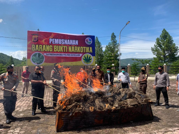 158 Kilogram Ganja Dimusnahkan, 52 Ribu Orang Terselamatkan