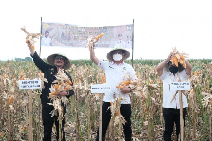 Mentan Siapkan 1.200 Hektare Lahan untuk Pengembangan Jagung di Gowa